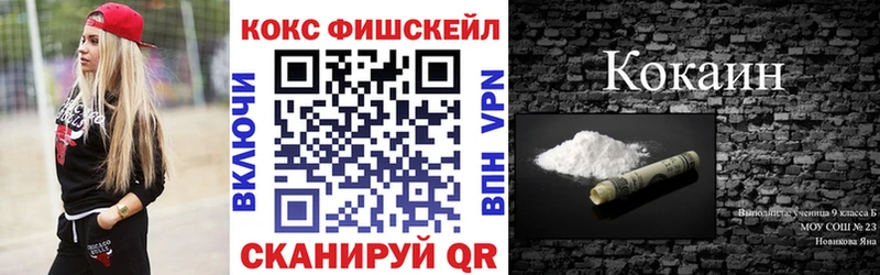 МЕФ Можга