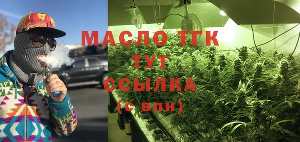 ГАЛЛЮЦИНОГЕННЫЕ ГРИБЫ Аркадак