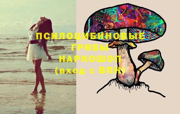 сатива Бронницы