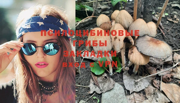 сатива Бронницы
