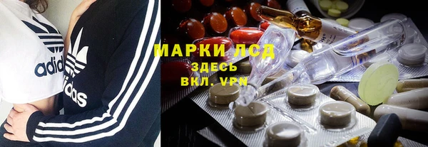 сатива Бронницы