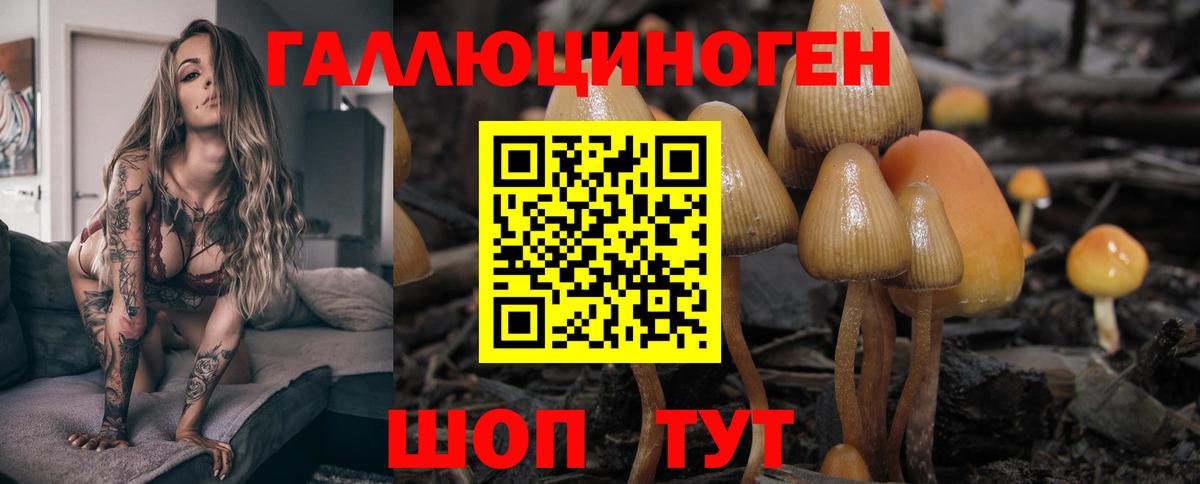 Псилоцибиновые грибы Cubensis  Вход с VPN  Можга 